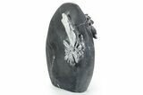 Polished Free-Standing Chrysanthemum Stone - China #352124-3